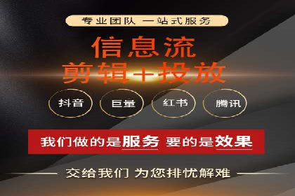 SEM代理的优化策略及成功案例